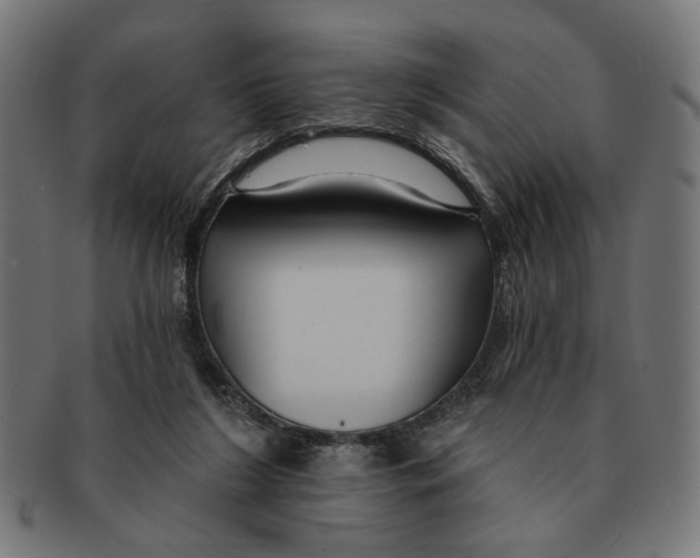 X0000091230212200709061526