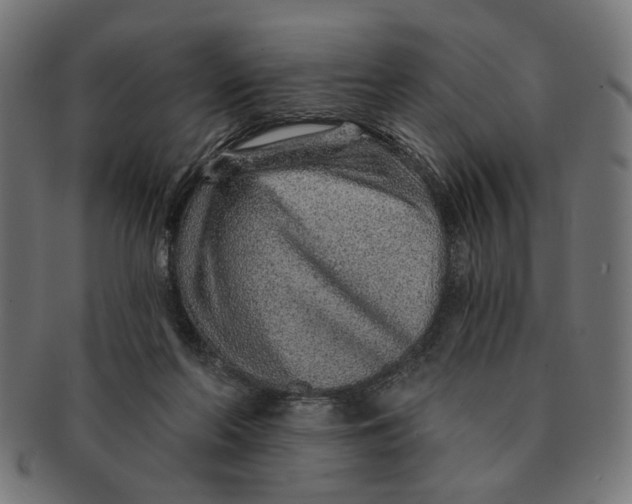 X0000091230214200709061526