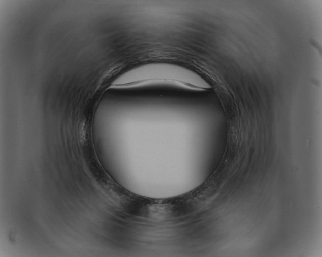 X0000091230216200709061526