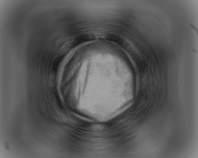 X0000091230218200709061526