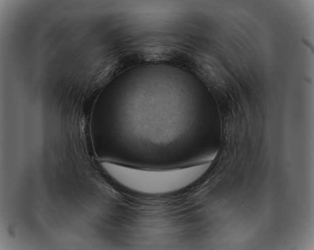 X0000091230219200709061526