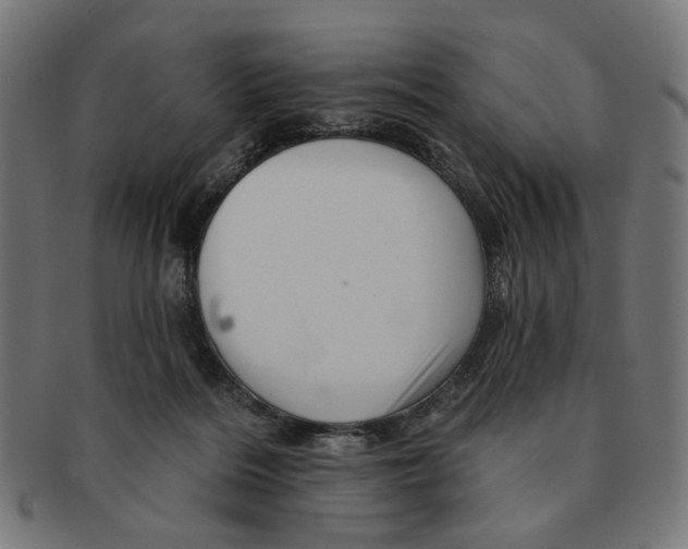 X0000091230220200709061526