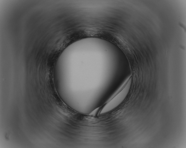 X0000091230221200709061526