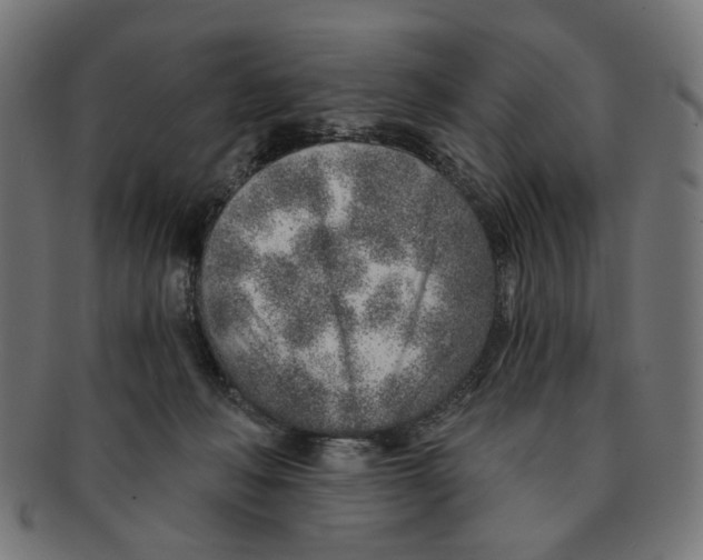 X0000091230222200709061526