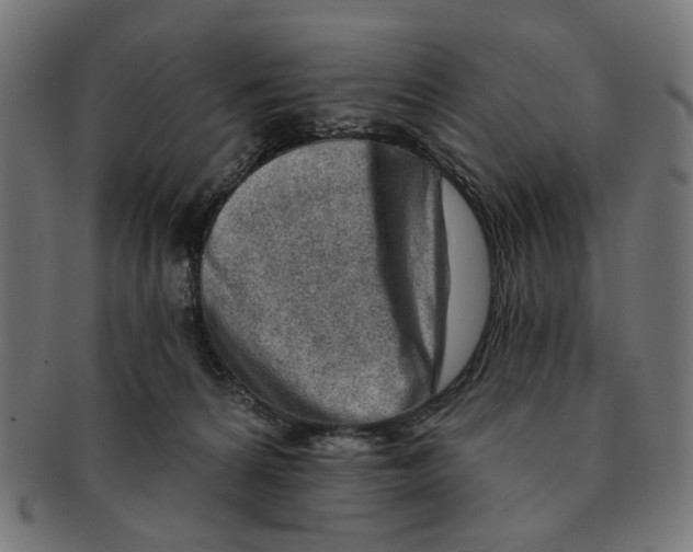 X0000091230224200709061526