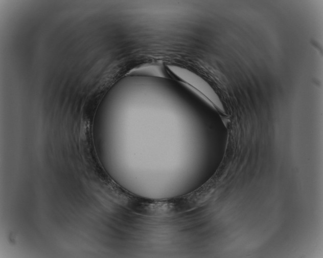 X0000091230225200709061526