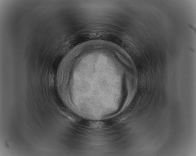 X0000091230226200709061526