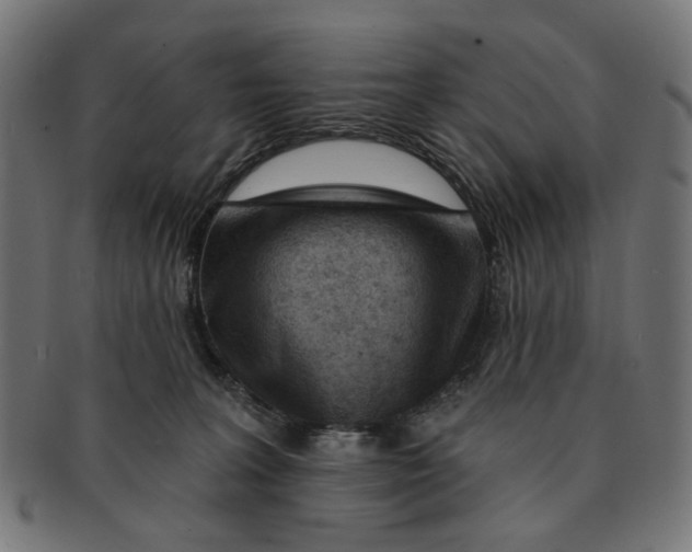 X0000091230227200709061526