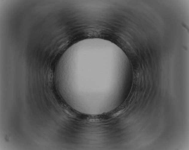 X0000091230228200709061526