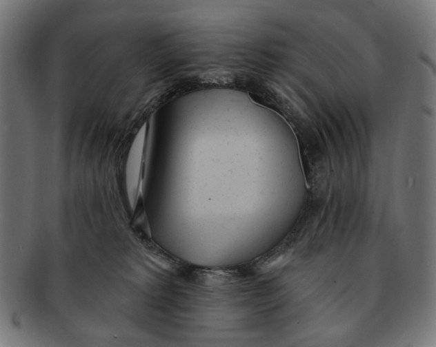 X0000091230229200709061526