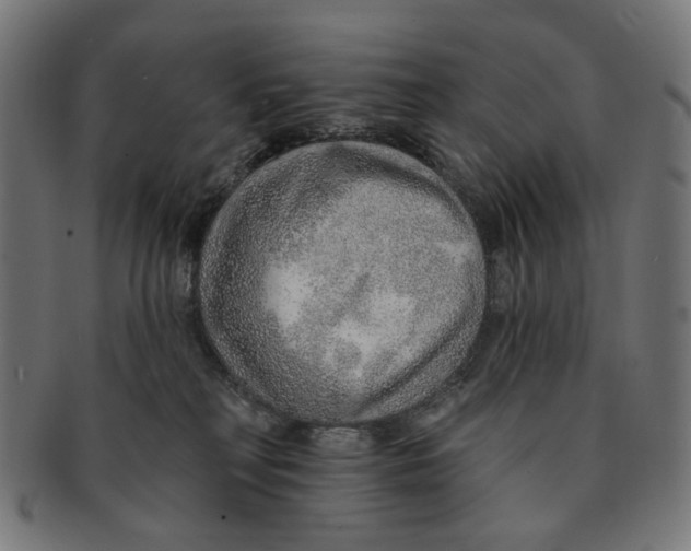 X0000091230230200709061526