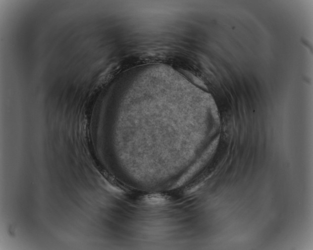 X0000091230231200709061525