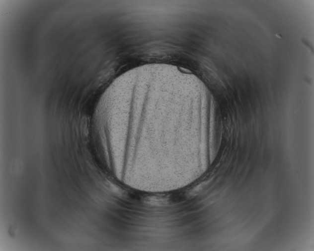 X0000091230232200709061525