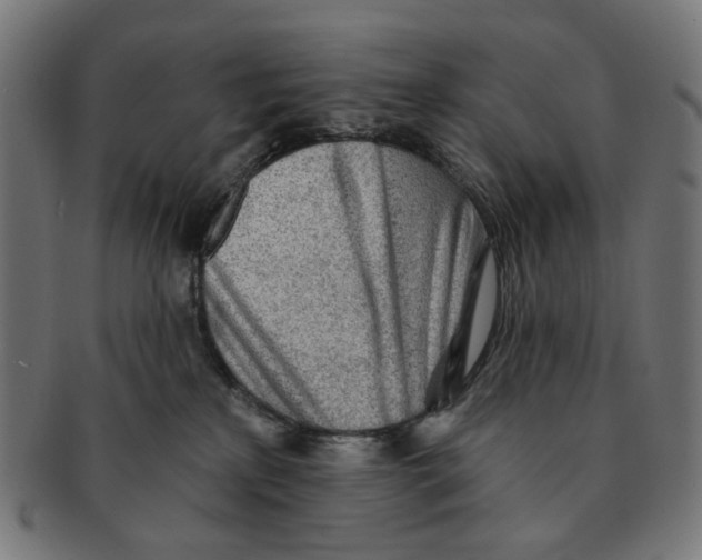 X0000091230233200709061525