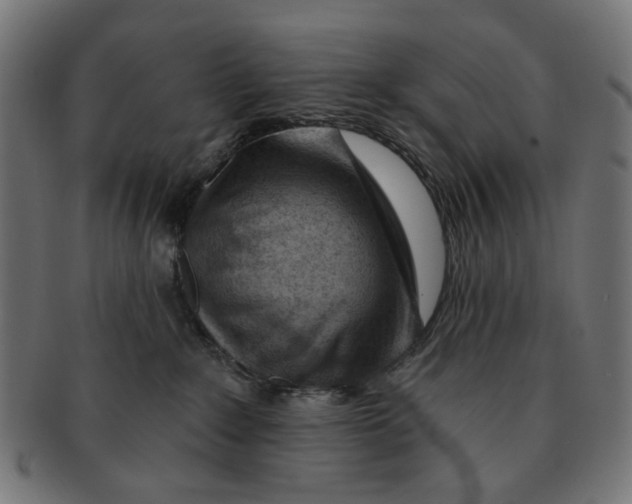 X0000091230235200709061525
