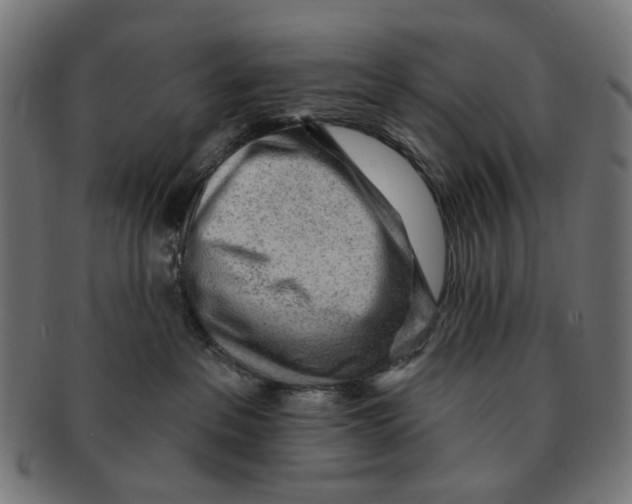 X0000091230237200709061525