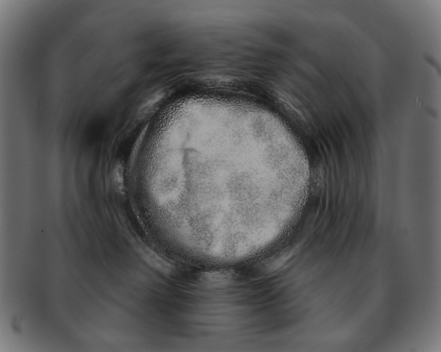 X0000091230238200709061525