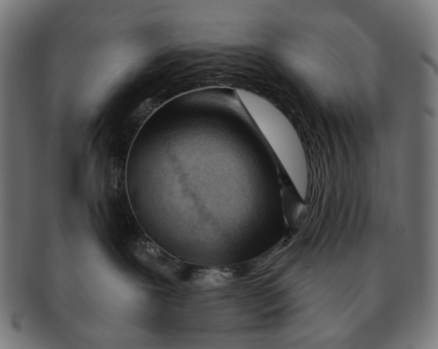 X0000091230239200709061525