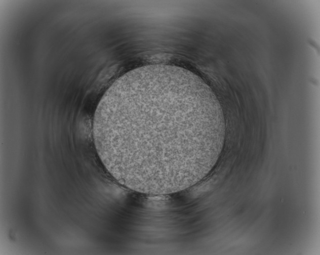 X0000091230240200709061525