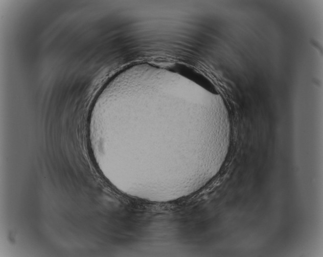 X0000091230241200709061525
