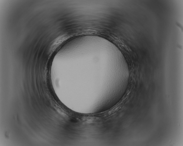 X0000091230242200709061525
