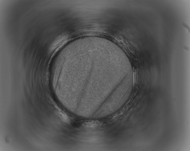 X0000091230243200709061525