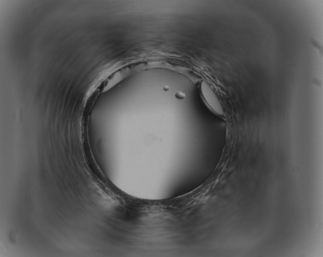 X0000091230244200709061525