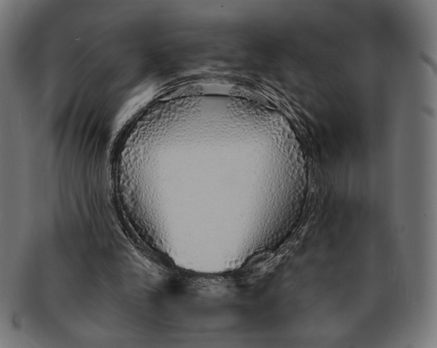 X0000091230245200709061525