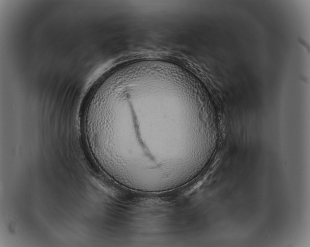 X0000091230246200709061525