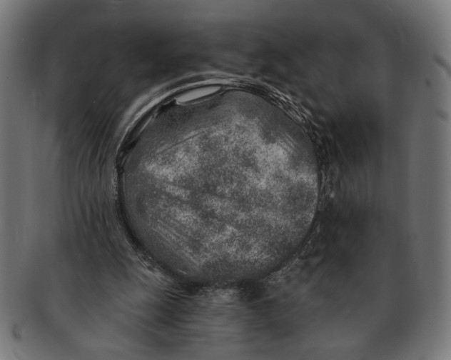 X0000091230247200709061525