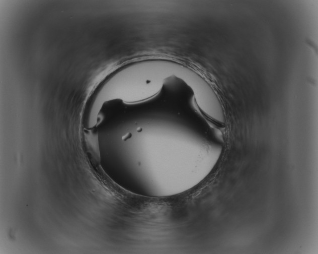 X0000091230248200709061525