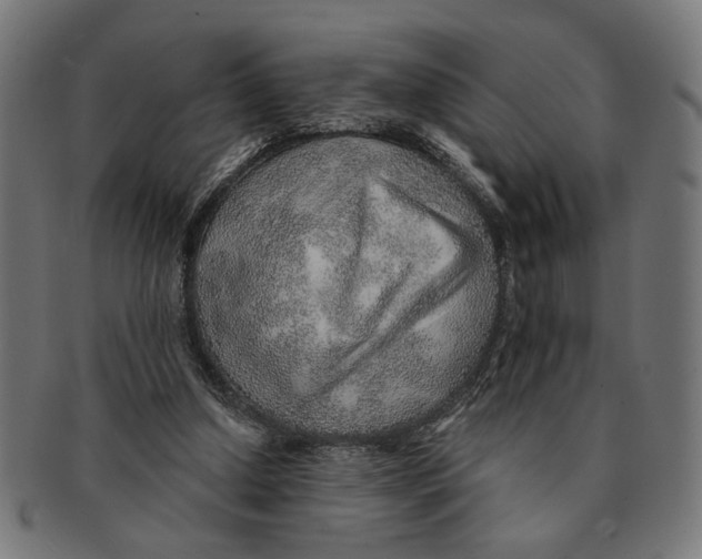 X0000091230250200709061525