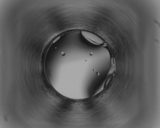 X0000091230252200709061525
