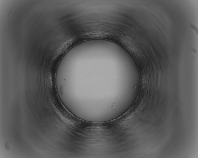 X0000091230254200709061525