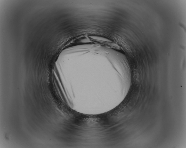 X0000091230255200709061525