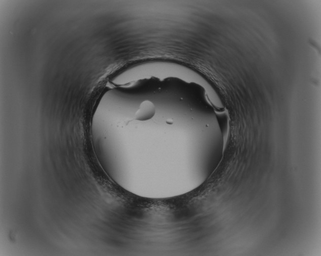 X0000091230256200709061525