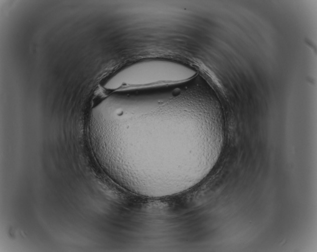 X0000091230257200709061525