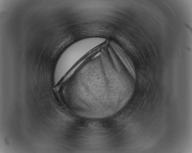 X0000091230258200709061525