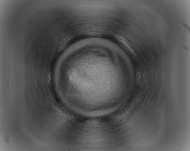 X0000091230259200709061525