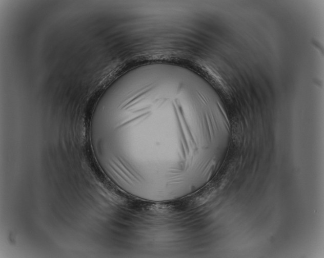 X0000091230261200709061525