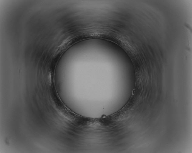 X0000091230262200709061525