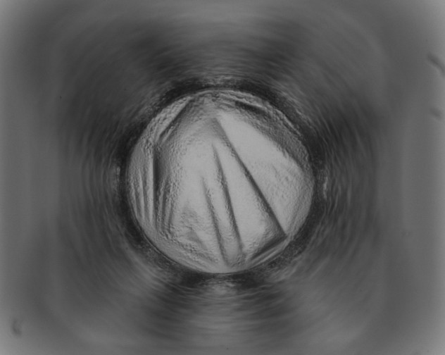 X0000091230263200709061525