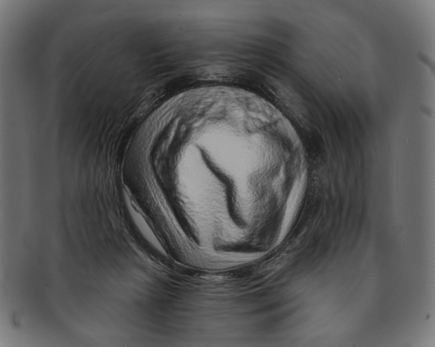 X0000091230265200709061525
