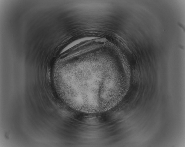 X0000091230267200709061525