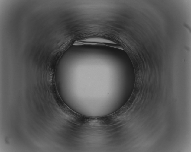 X0000091230268200709061525