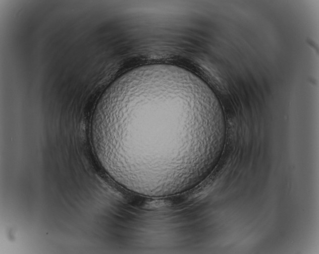 X0000091230269200709061525