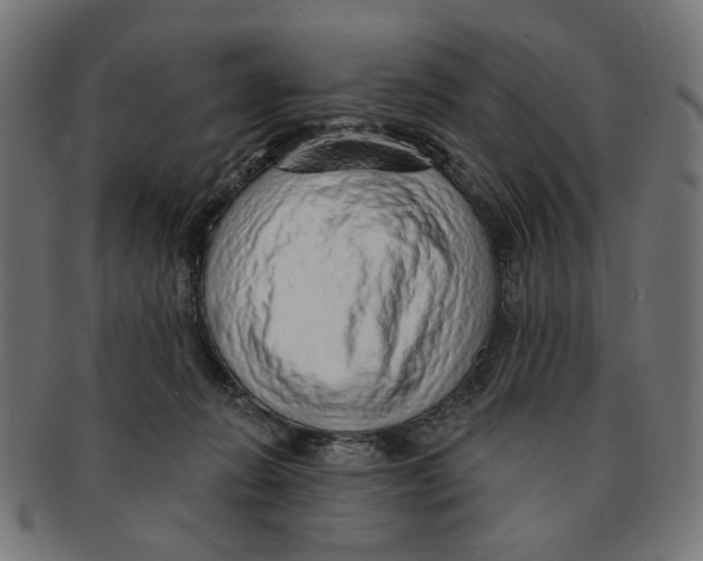 X0000091230270200709061525