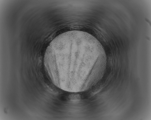 X0000091230271200709061525