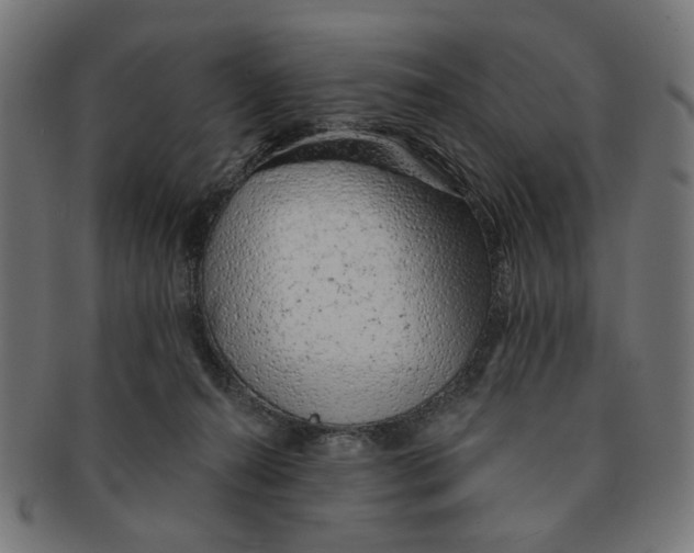 X0000091230272200709061525