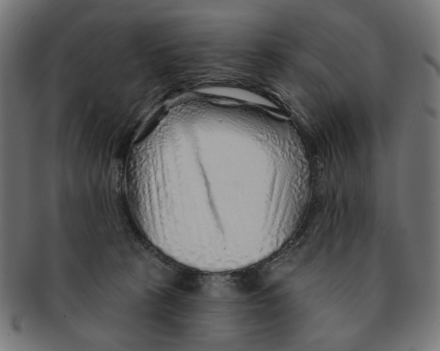 X0000091230273200709061525